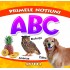 ABC. Primele notiuni