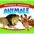 Primele notiuni. Animale, 32 pagini cartonate, color, format 10/10 cm