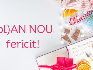 (pl)AN NOU fericit!