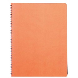 AGENDA CU SPIRA A4 NEDATATA PORTOCALIE SIENA EGO AGENDA CU SPIRA A4 NEDATATA PORTOCALIE SIENA EGO