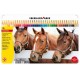 CREIOANE COLORATE 36 CULORI CUTIE METAL EBERHARD FABER