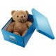 CUTIE DEPOZITARE MEDIE ALBASTRA CLICK&STORE LEITZ
