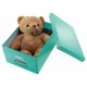 CUTIE DEPOZITARE MEDIE TURCOAZ CLICK&STORE LEITZ