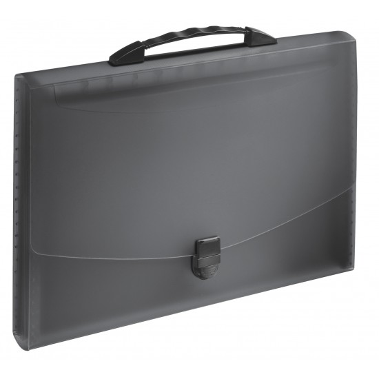 MAPA PLASTIC 12 COMPARTIMENTE CU MANER NEAGRA VIVIDA ESSELTE