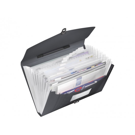 MAPA PLASTIC 12 COMPARTIMENTE CU MANER NEAGRA VIVIDA ESSELTE