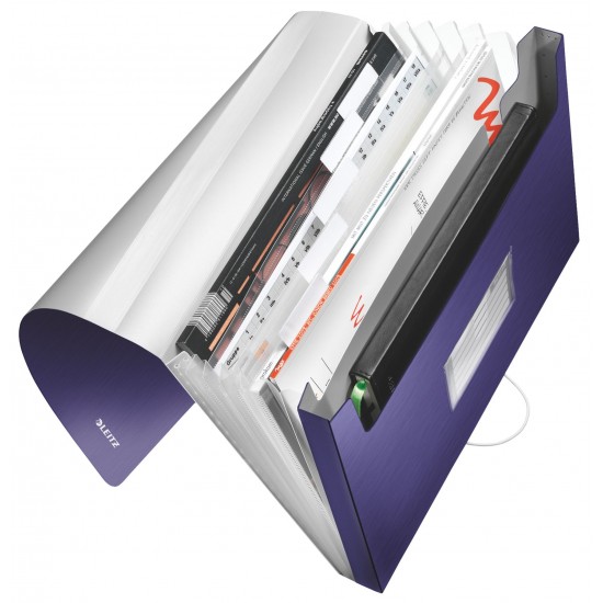 MAPA PLASTIC 6 COMPARTIMENTE ALBASTRU-VIOLET TIP PROIECT STYLE