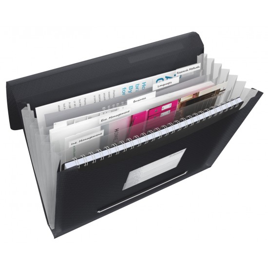 MAPA PLASTIC 6 COMPARTIMENTE NEAGRA VIVIDA ESSELTE