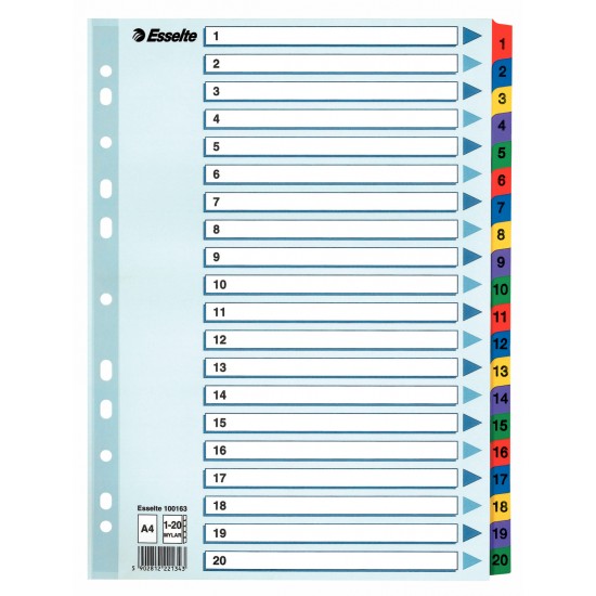SEPARATOARE INDEX CARTON 1-20 MYLAR ESSELTE
