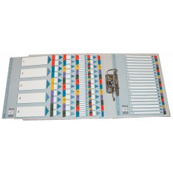 SEPARATOARE INDEX CARTON 1-5 MYLAR ESSELTE