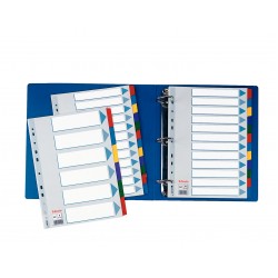 SEPARATOARE INDEX CARTON 6 COLI  MYLAR ESSELTE