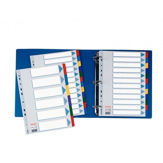 SEPARATOARE INDEX CARTON 6 COLI  MYLAR ESSELTE