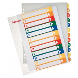 SEPARATOARE INDEX PLASTIC 1-12 IMPRIMABIL ESSELTE