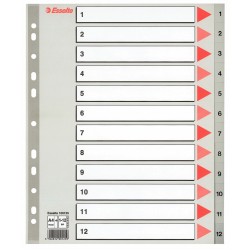 SEPARATOARE INDEX PLASTIC 1-12 MAXI ESSELTE