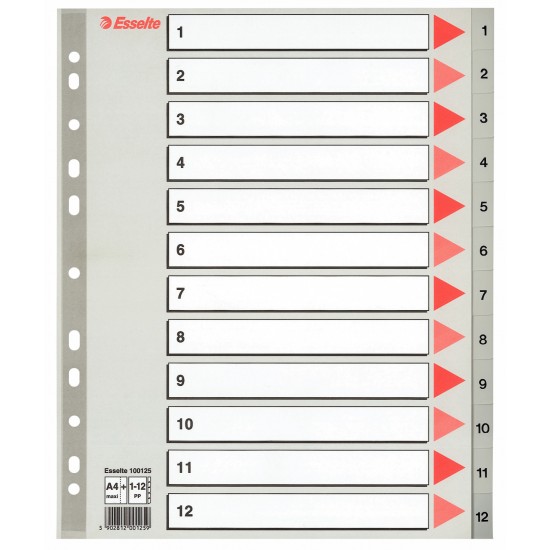 SEPARATOARE INDEX PLASTIC 1-12 MAXI ESSELTE SEPARATOARE INDEX PLASTIC 1-12 MAXI ESSELTE