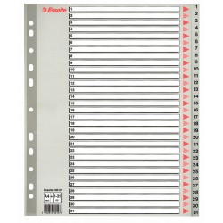 SEPARATOARE INDEX PLASTIC 1-31 MAXI ESSELTE