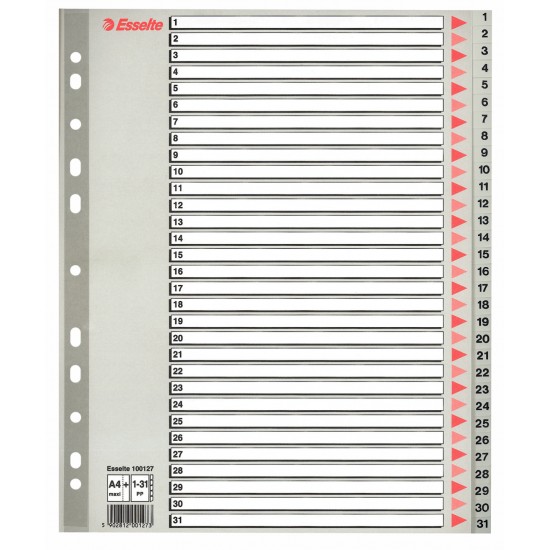 SEPARATOARE INDEX PLASTIC 1-31 MAXI ESSELTE