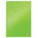 CAIET BIROU A4 AR VERDE COPERTA CARTON WOW LEITZ