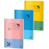 CAIET A4 60 FILE VELIN BASIC PIGNA
