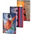 CAIET A4 80 FILE ARITMETICA COLOR PIGNA