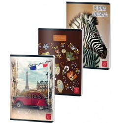 CAIET A5 48 FILE ARITMETICA COLOR PIGNA