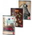 CAIET A5 48 FILE ARITMETICA COLOR PIGNA