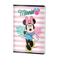 CAIET A5 48 FILE DICTANDO MINNIE PIGNA