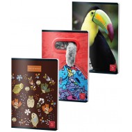 CAIET A5 60 FILE ARITMETICA COLOR PIGNA