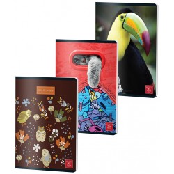 CAIET A5 60 FILE ARITMETICA COLOR PIGNA