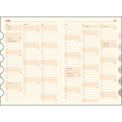 AGENDA A5 ZILNICA ALBASTRU 2025 OFFICE  EGO