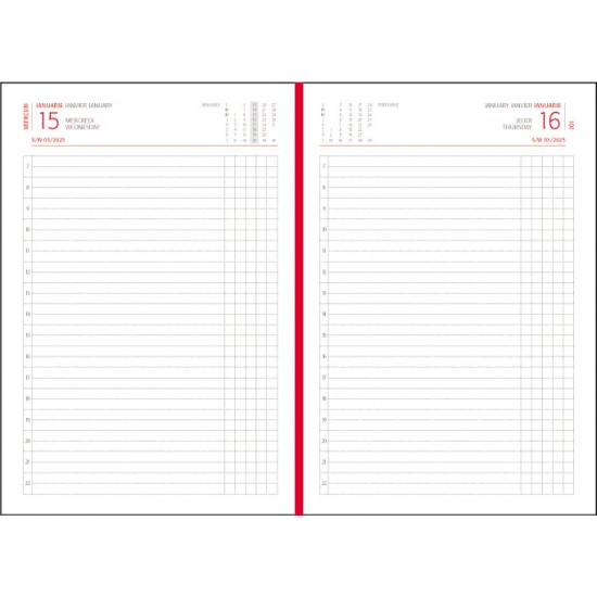 AGENDA A5 ZILNICA ALBASTRU PETROL TEXTURAT 2025 BASIC EGO AGENDA A5 ZILNICA ALBASTRU PETROL TEXTURAT 2025 BASIC EGO
