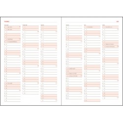AGENDA A5 ZILNICA VERDE 2025 BASIC EGO
