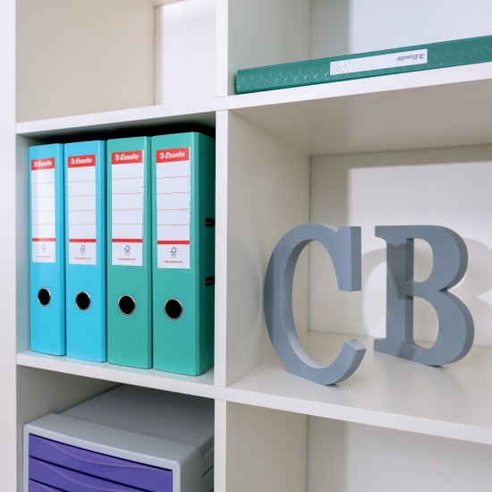 BIBLIORAFT PLASTIFIAT INT-EXT 7.5CM VERDE ICE NR1 POWER ESSELTE BIBLIORAFT PLASTIFIAT INT-EXT 7.5CM VERDE ICE NR1 POWER ESSELTE