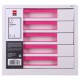 CABINET 5 SERTARE ALB/ROZ DELI CABINET 5 SERTARE ALB/ROZ DELI