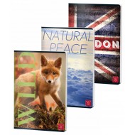 CAIET A4 60 FILE VELIN COLOR PIGNA CAIET A4 60 FILE VELIN COLOR PIGNA