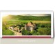 CALENDAR BIROU ROMANIA 13 FILE EGO CALENDAR BIROU ROMANIA 13 FILE EGO