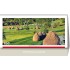 CALENDAR BIROU ROMANIA 13 FILE EGO