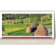 CALENDAR BIROU ROMANIA 13 FILE EGO CALENDAR BIROU ROMANIA 13 FILE EGO