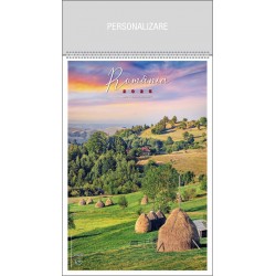 CALENDAR PERETE ROMANIA 13 FILE EGO