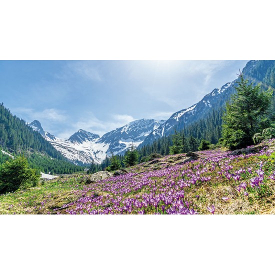 CALENDAR PERETE ROMANIA 13 FILE EGO CALENDAR PERETE ROMANIA 13 FILE EGO
