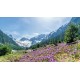 CALENDAR PERETE ROMANIA 13 FILE EGO CALENDAR PERETE ROMANIA 13 FILE EGO