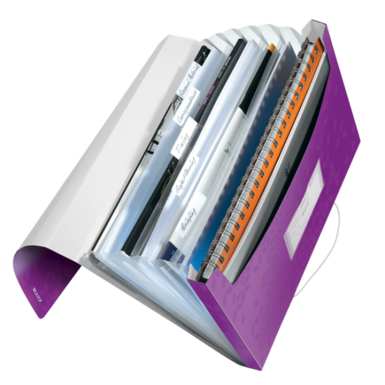 MAPA PLASTIC 6 COMPARTIMENTE MOV METALIZAT TIP PROIECT WOW LEITZ