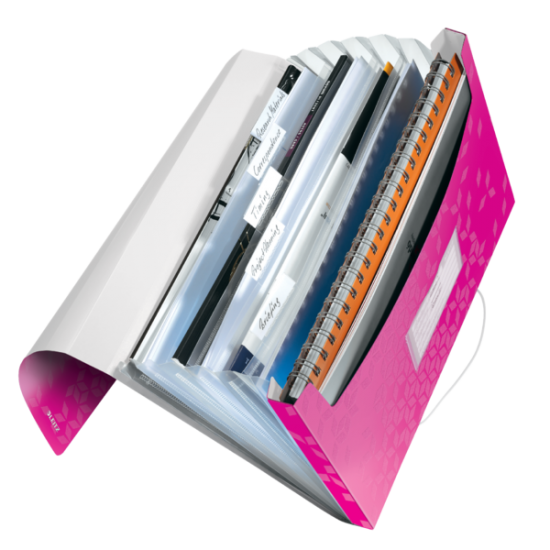 MAPA PLASTIC 6 COMPARTIMENTE ROZ METALIZAT TIP PROIECT WOW LEITZ