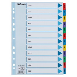 SEPARATOARE INDEX CARTON IAN-DEC MYLAR ESSELTE