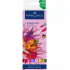 MARKER SOLUBIL 2 CAPETE SET 6 BUC FLORI GOLDFABER FABER-CASTELL