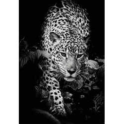 CALENDAR PERETE ANIMALE 13 FILE EGO CALENDAR PERETE ANIMALE 13 FILE EGO
