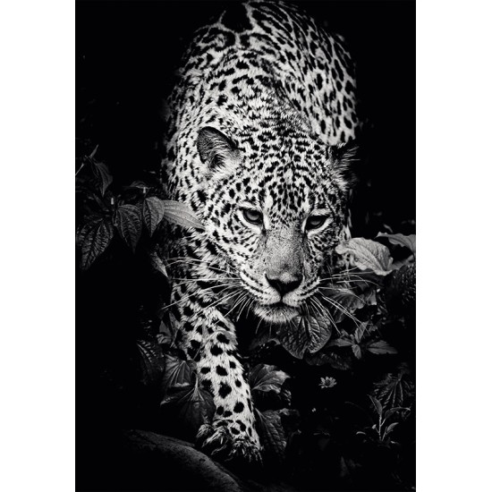 CALENDAR PERETE ANIMALE 13 FILE EGO CALENDAR PERETE ANIMALE 13 FILE EGO
