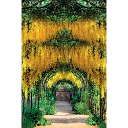 CALENDAR PERETE GRADINI 13 FILE EGO CALENDAR PERETE GRADINI 13 FILE EGO