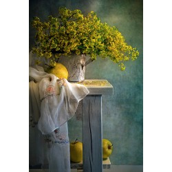 CALENDAR PERETE NATURI STATICE 13 FILE EGO CALENDAR PERETE NATURI STATICE 13 FILE EGO