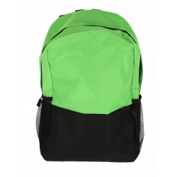 GHIOZDAN CLASELE I-IV VERDE 2 FERMOARE PIGNA