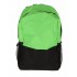 GHIOZDAN CLASELE I-IV VERDE 2 FERMOARE PIGNA